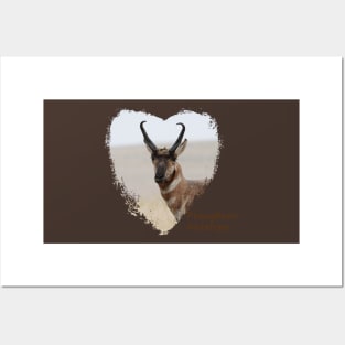 Pronghorn Antelope- Prairie Speedster Posters and Art